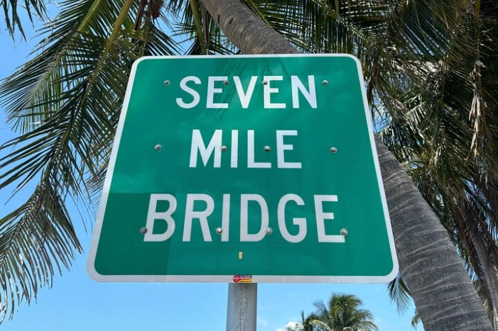 Image 15