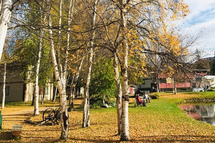 Image 6