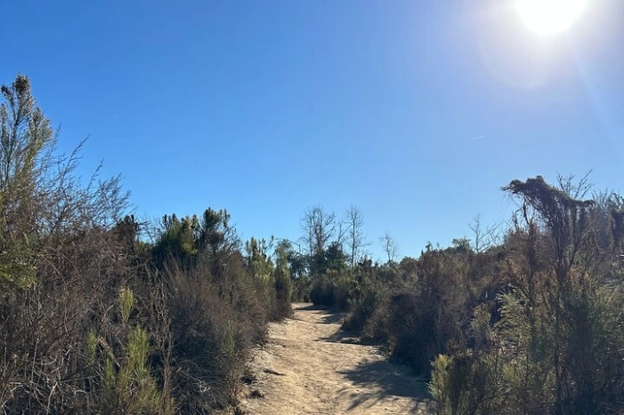 Image 15