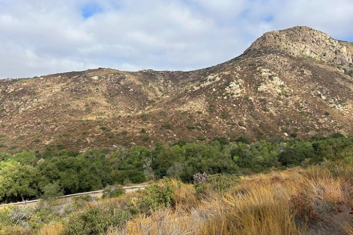 Image 33