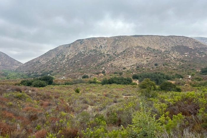 Image 34