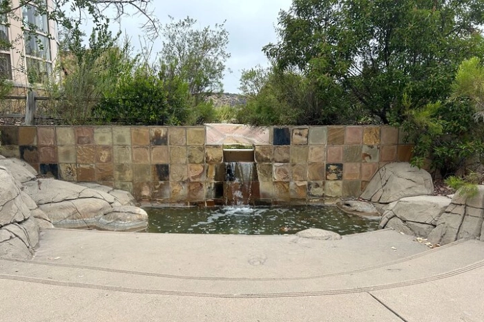 Image 21