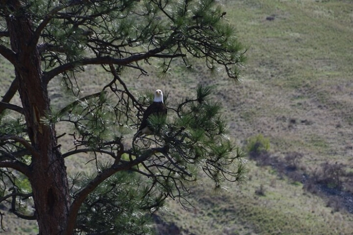 Image 13