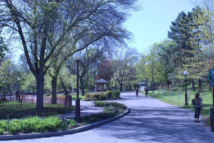 Image 5