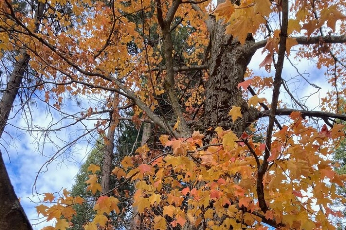 Image 15