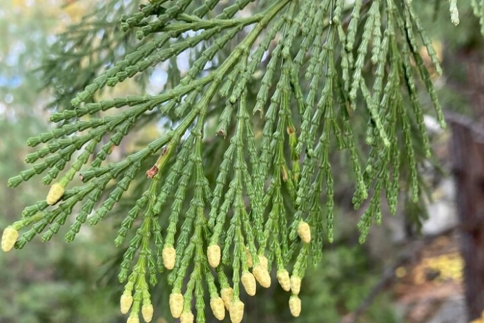 Image 17