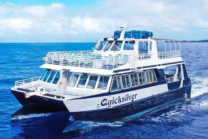 Maui Snorkeling Boat Tour to Turtle Town Aboard Quicksilver 