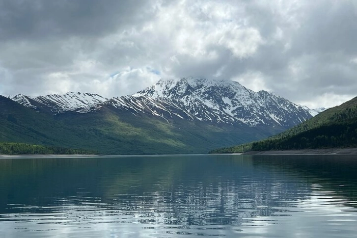 Image 7