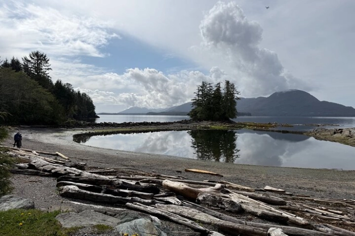 Image 19