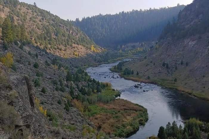 Image 10