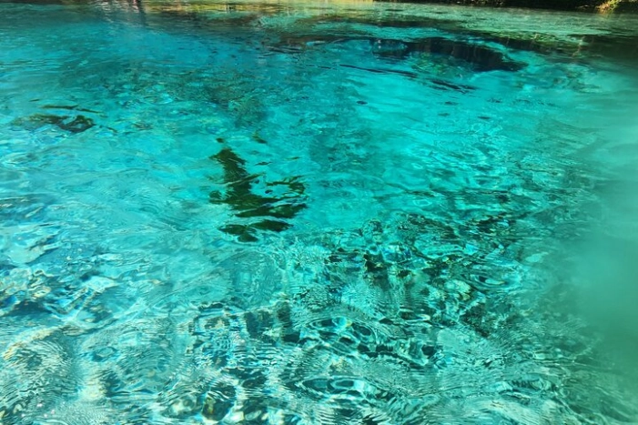 2 Hour Guided Clear Glass Bottom Kayak Tour Gilchrist Blue Spring