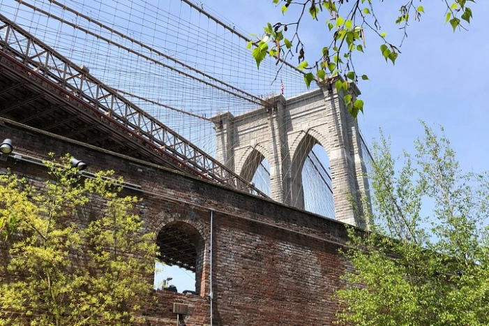Image 10