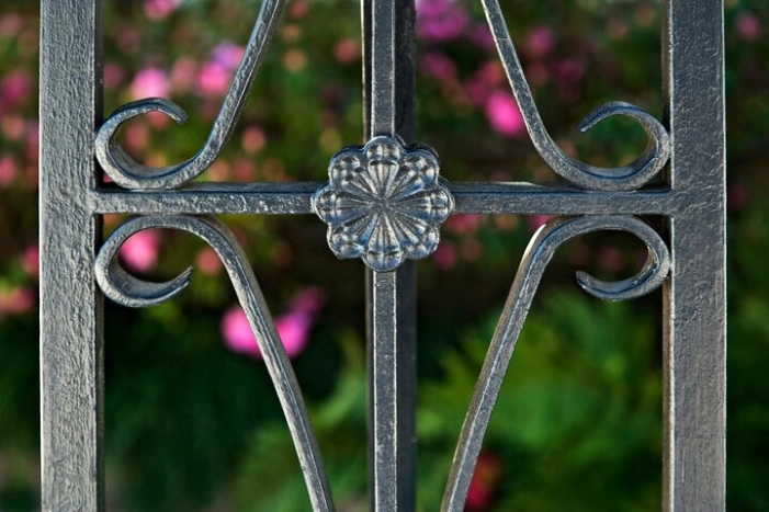Image 7