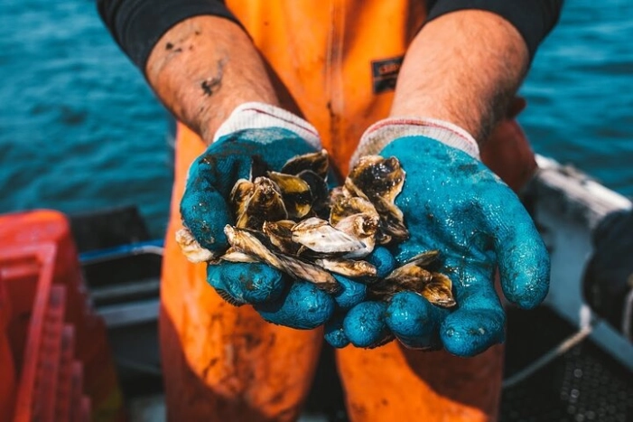 Private West Passage Oyster Tasting Aquaculture Tour