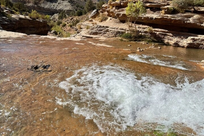 Image 7
