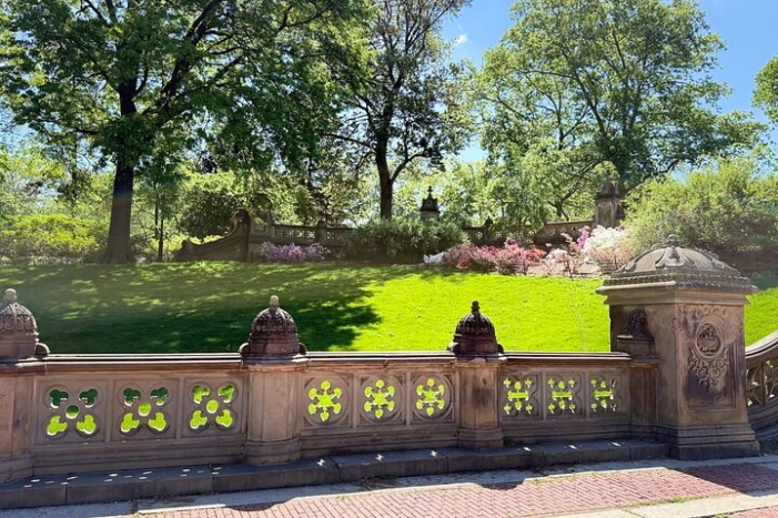 Image 22