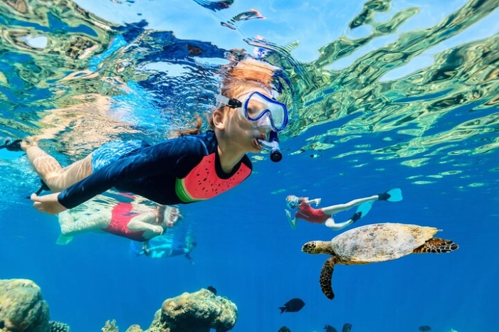 2 Hour Waikiki Snorkeling Experience from Oahu