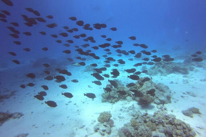 Image 12