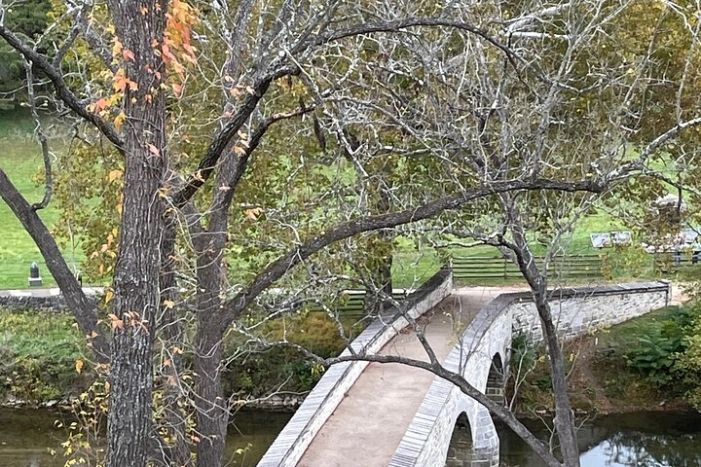 Image 6