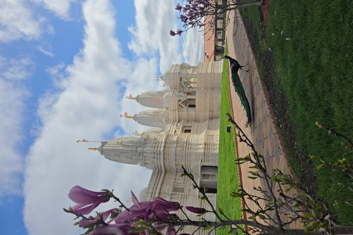 Image 27