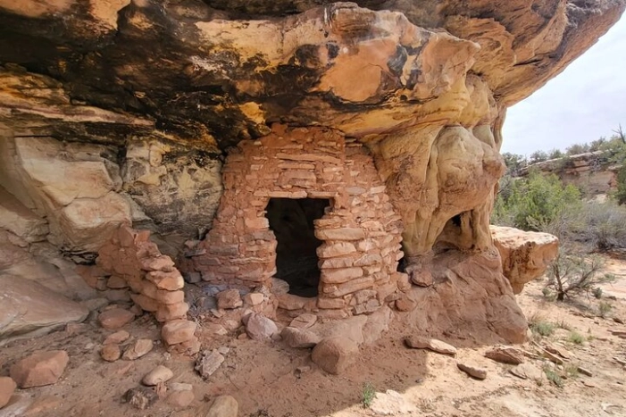 Image 6