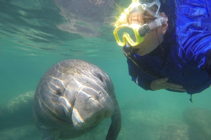 Guided Semi-Private Snorkel Tour (w/ FREE Photos!)
