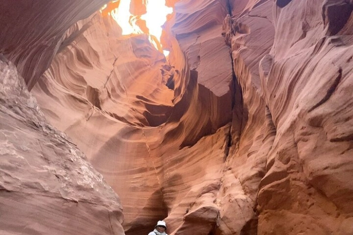 Image 8