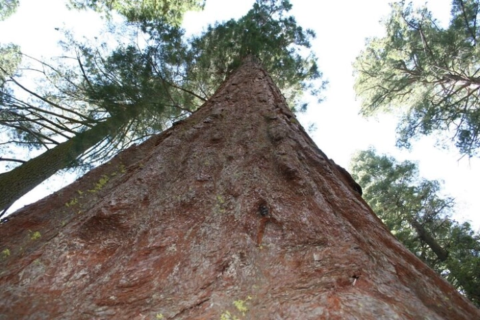 Image 18