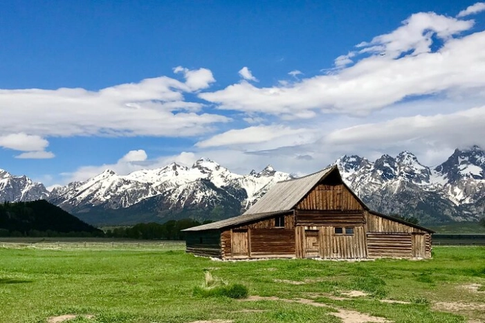 5-day In-Depth Yellowstone and Grand Teton National Park Tour