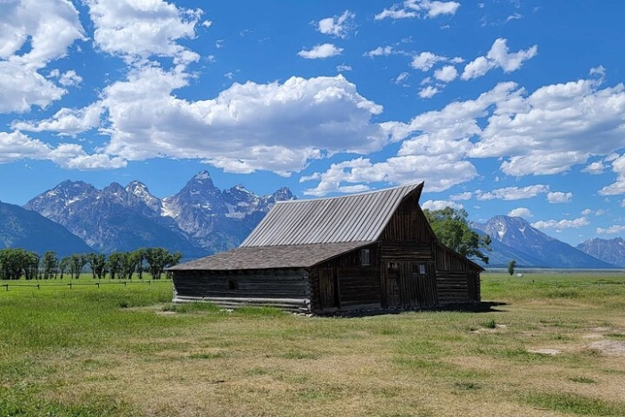 Image 15