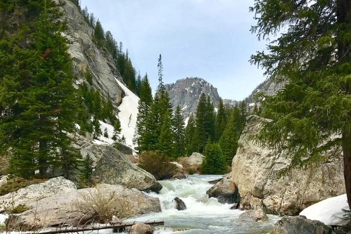 Image 21