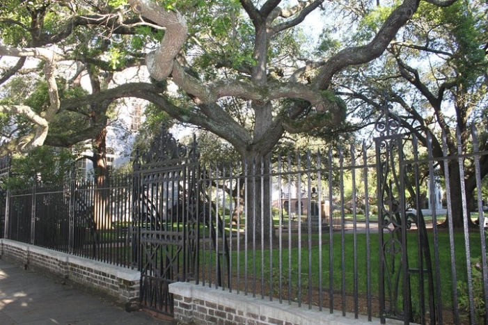 Image 4