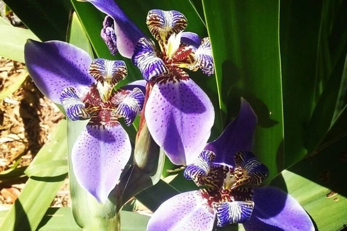 Image 10