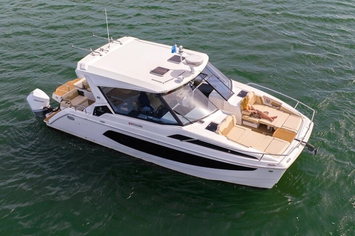 Marine Wildlife & Whale Watching Tour in The Hamptons