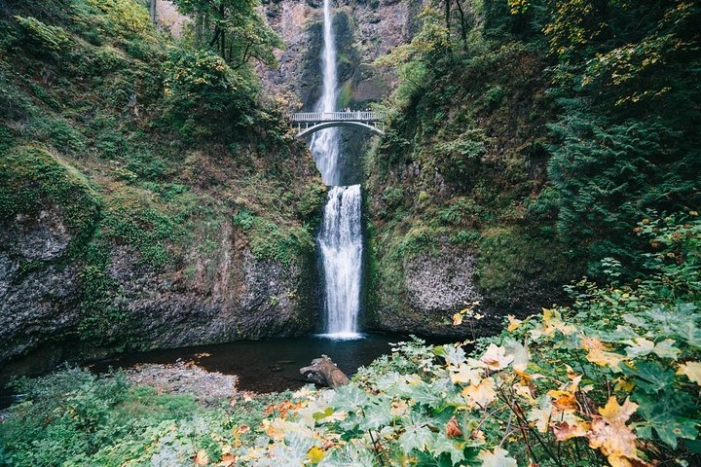 Mt Hood, Waterfalls, and Wine Tour with Tasting Fees Included
