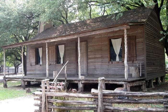 Image 7