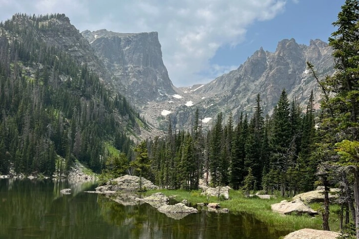 Image 8
