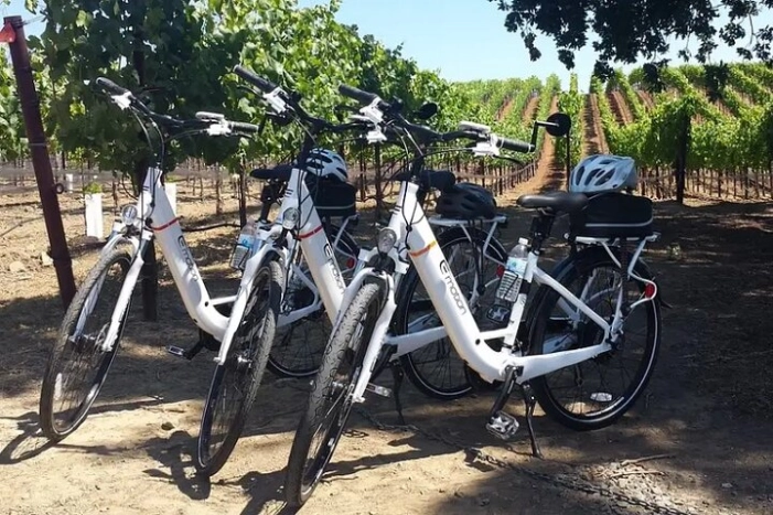 Experience E-Bike with Wine Tasting Activity