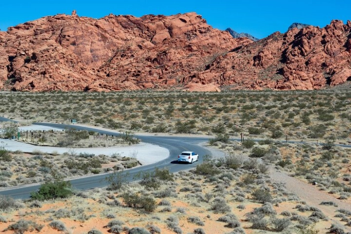Image 6