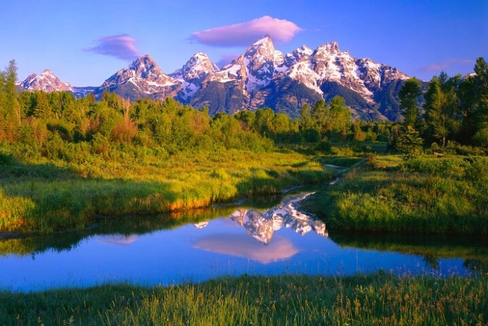 Grand Teton National Park Tour from Jackson Hole