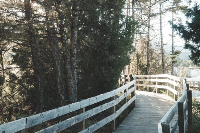 Image 15