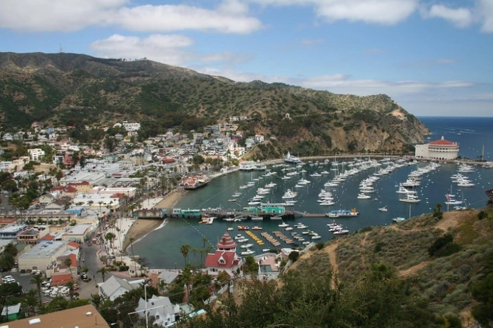 Image 6