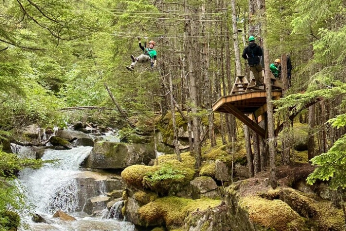 Grizzly Falls Ziplining Expedition