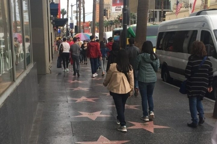 Los Angeles Private City Tour