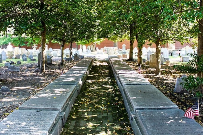 Image 15