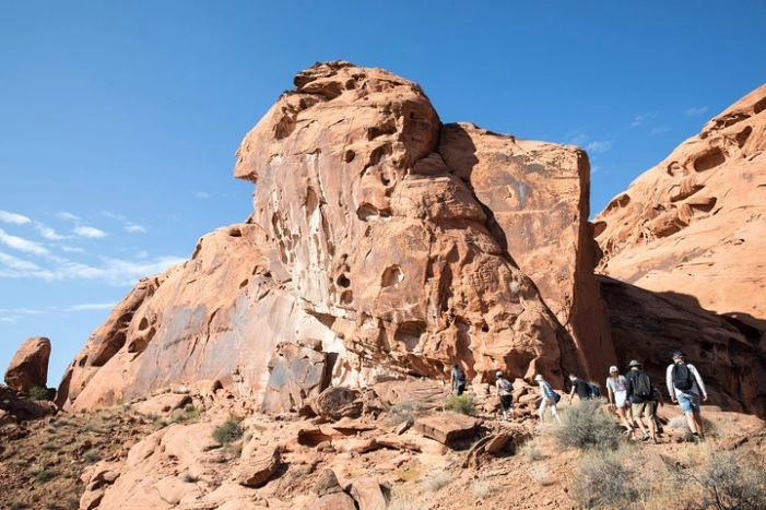 Image 11