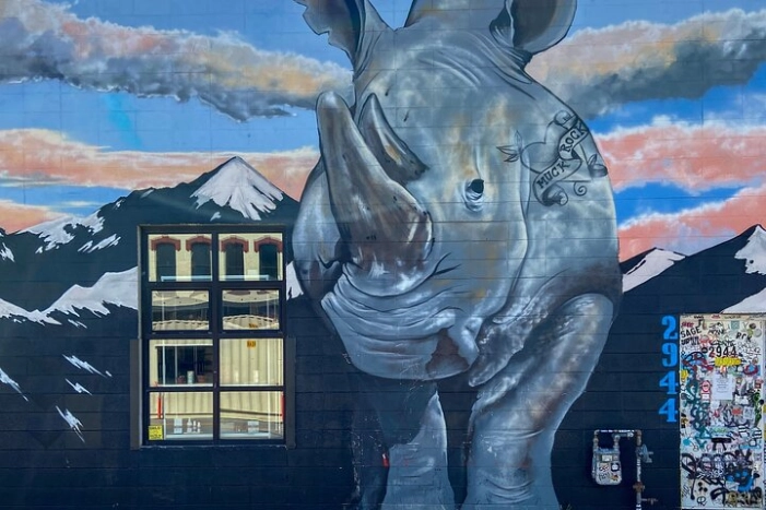 1.5 Hour RiNo Art District Walking Tour
