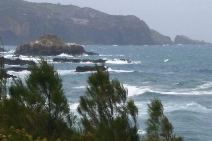 Image 8