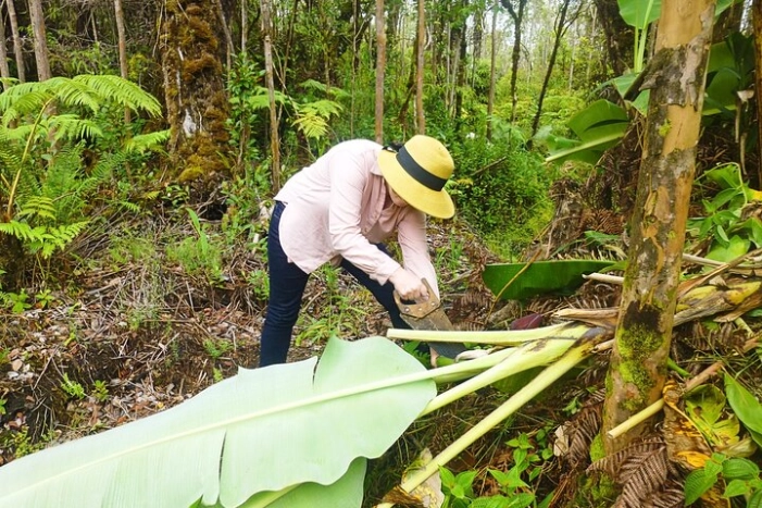 Image 14