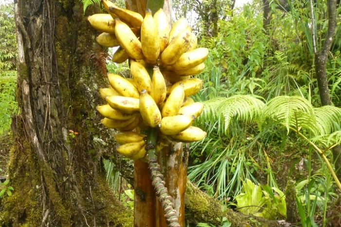 Image 13